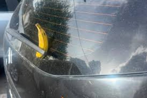 QUIXADÁ - Gestora da Casa de Saberes Cego Aderaldo denuncia caso de racismo após encontrar banana no para-brisa de seu carro em Quixadá