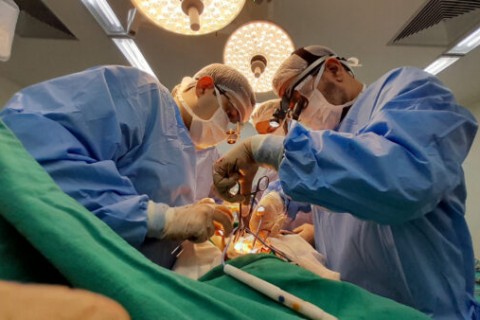 QUIXERAMOBIM - Hospital Regional do Sertão Central, em Quixeramobim, já captou mais de 50 órgãos este ano