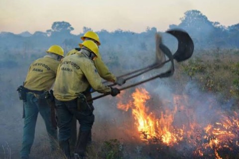 REGIONAL - Ibama notifica proprietários rurais de Canindé e Caridade sobre riscos de incêndios