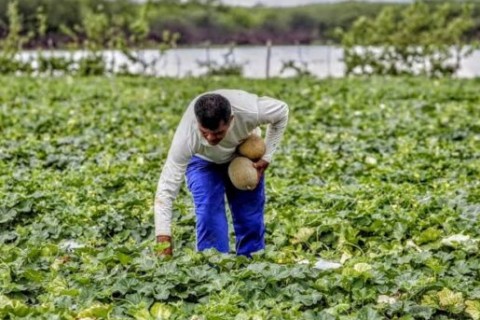 CEARÁ - Garantia Safra 2026/2027 deve beneficiar 192 mil agricultores no Ceará