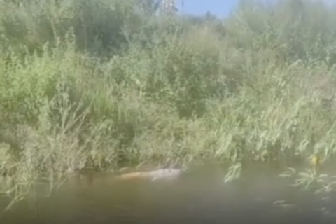 CANINDÉ - Corpo de mulher é encontrado boiando em açude no município de Canindé