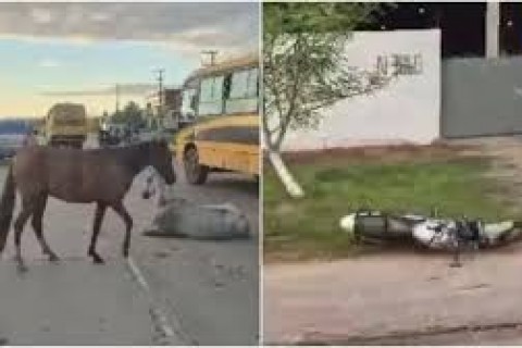 CEARÁ - Acidente entre moto e cavalo solto deixa uma pessoa morta na CE-010, em Maracanaú