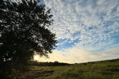 CEARÁ - Ceará terá dias de calor e predomínio de sol no início da semana, aponta Funceme